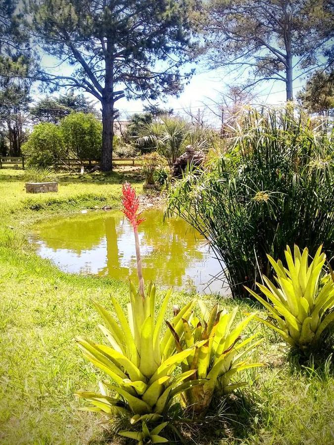 Hostel El Nagual Punta Del Diablo Zewnętrze zdjęcie